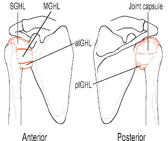 Shoulder Instability Dislocation Arthroscopic Shoulder Stabilization ...